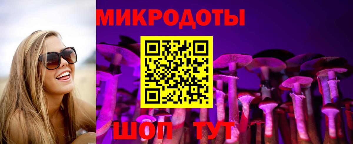 Псилоцибиновые грибы мицелий Смоленск